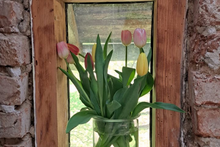 Dom na wsi - kwiaty Dom na wsi - kwiaty