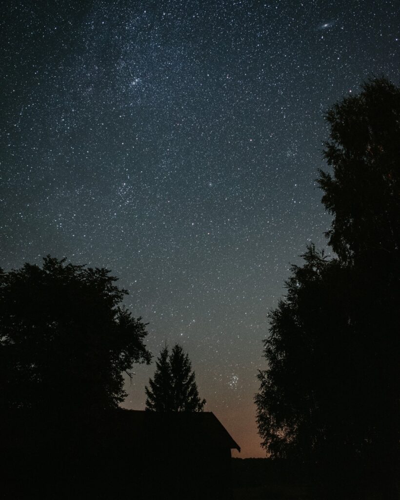 Teren zielony i otoczenie - noc Teren zielony i otoczenie - noc